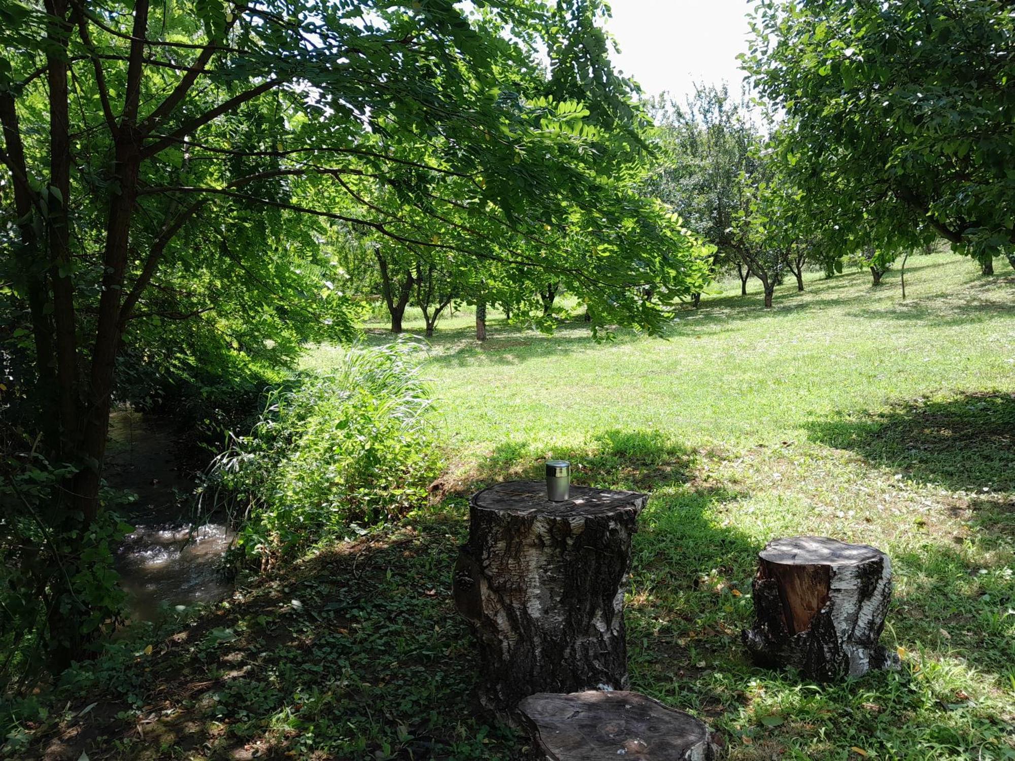 Nica Wood Villa Sremska Kamenica Exterior photo